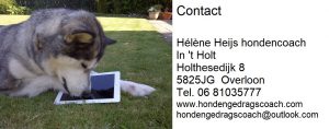 Hondencoach Hélène hondenschool In t Holt Overloon contact